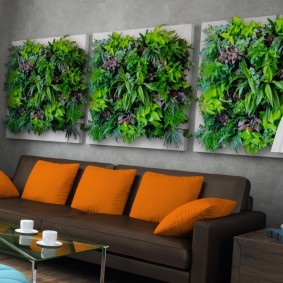 لوحة من النباتات الحية على الأريكة