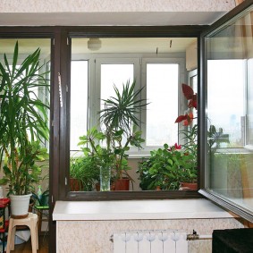 Plantes d'intérieur sur le balcon d'un appartement dans une maison à panneaux