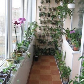 Petit balcon avec des orchidées en fleurs