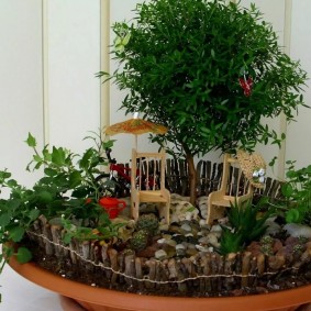 DIY bonsai kompozisyon