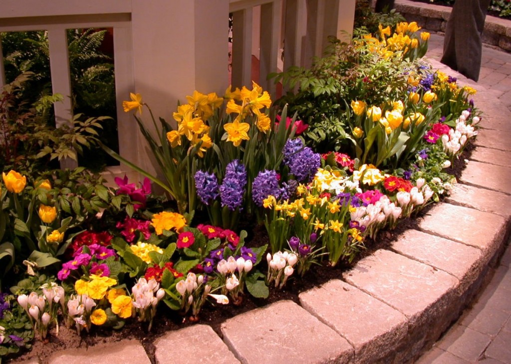 Güzel çiçekler ile kompakt flowerbed