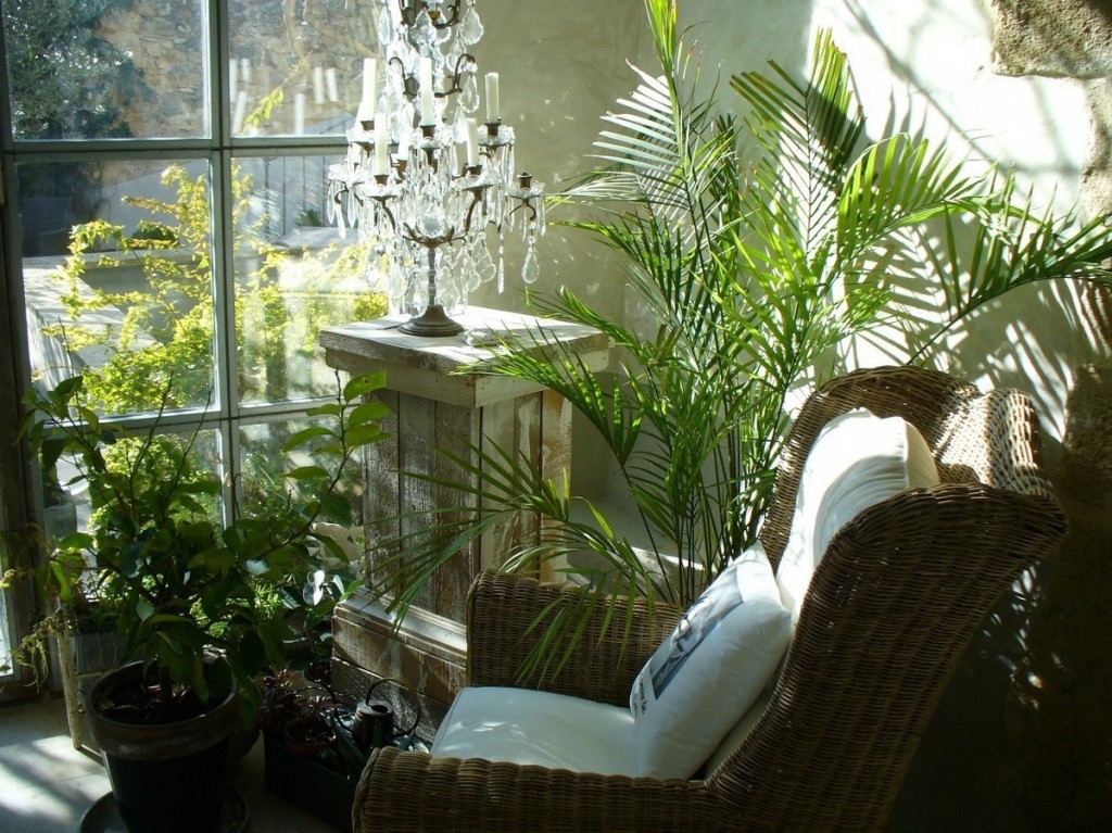 كرسي على الشرفة مع النباتات الحية