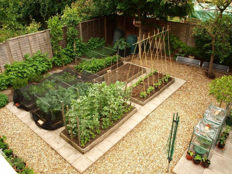 Compact garden with beautiful beds