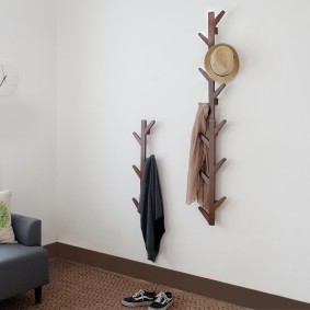 wall hangers in the hallway interior ideas