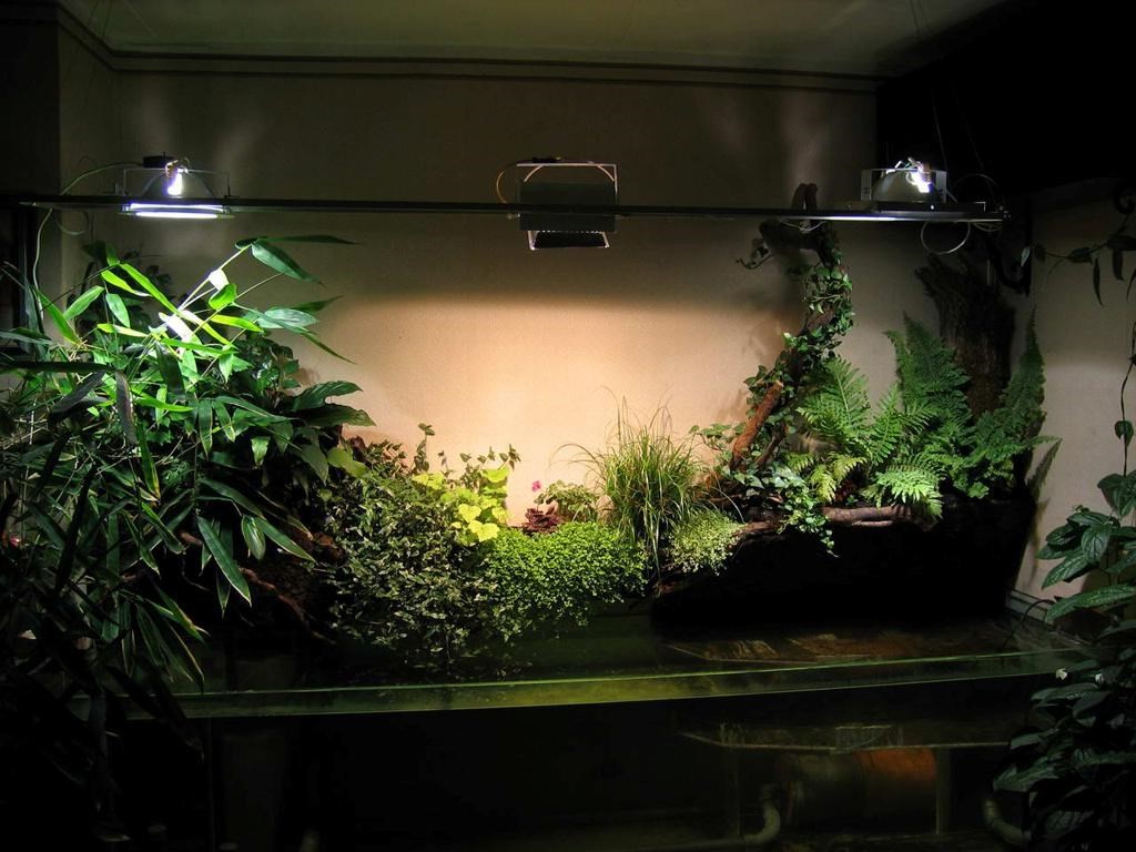Bir dairede iç mekan bitkilerinin aydınlatılması
