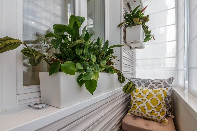 حاوية بيضاء مع النباتات الخضراء على شرفة منزل لوحة