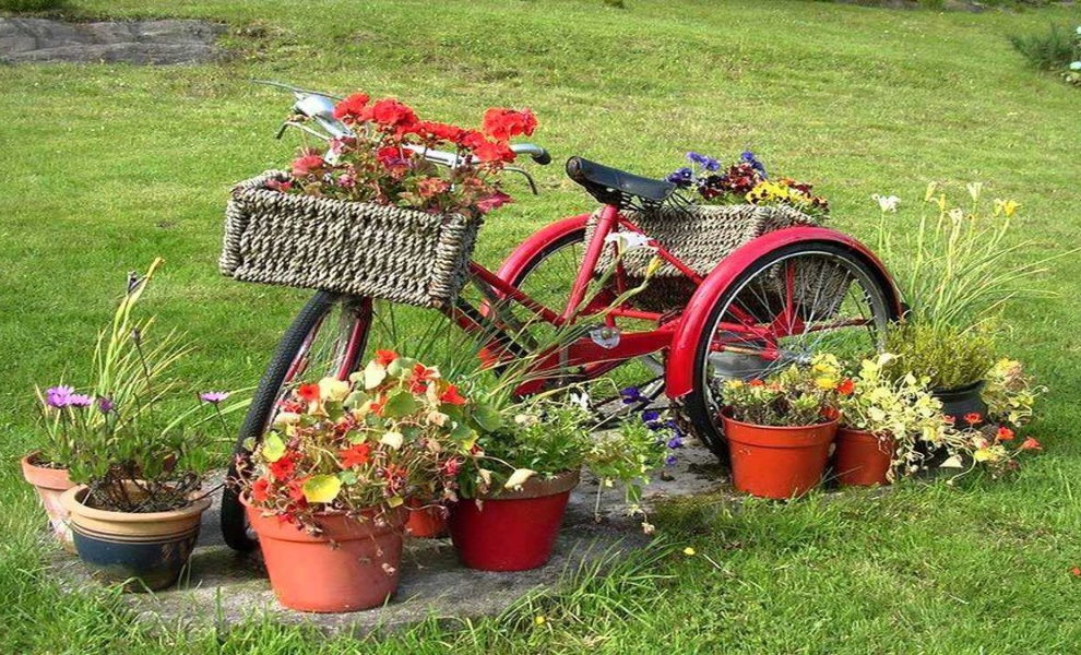 Flowerbed eski bir üç tekerlekli bisiklet