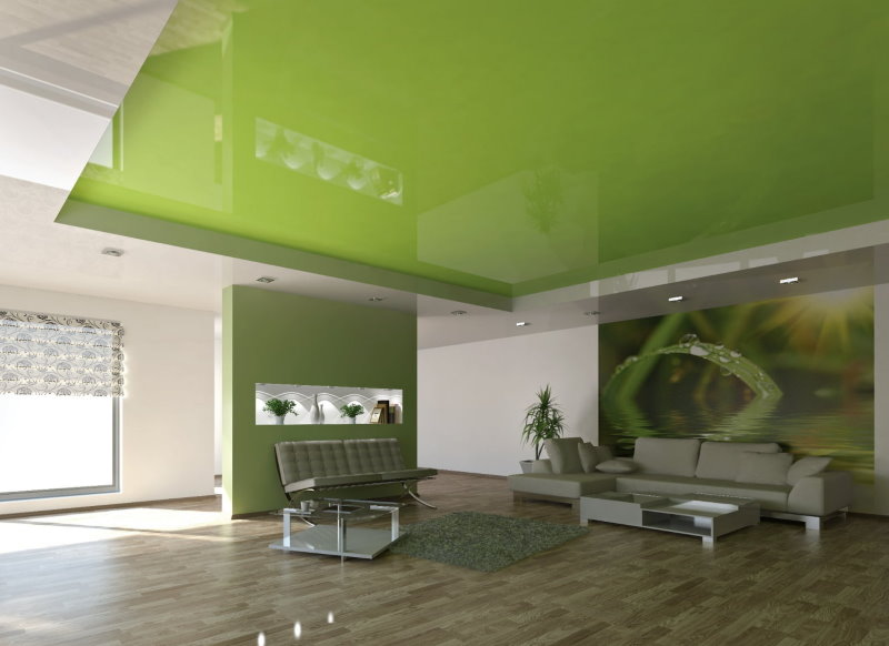 قماش مطاطي أخضر في غرفة المعيشة الواسعة