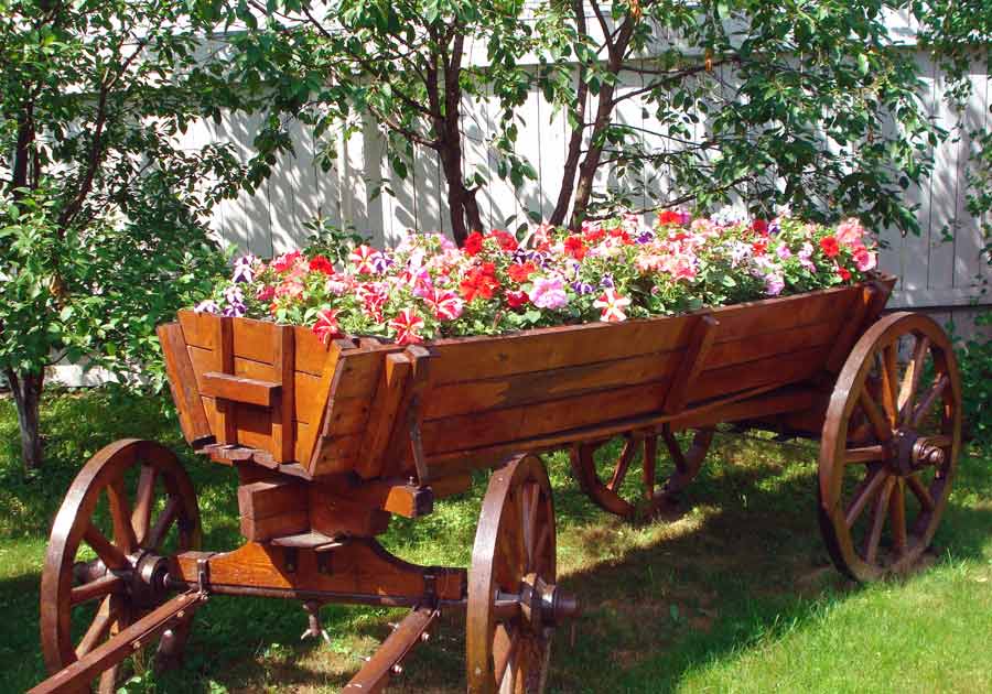 Wagon bed in a plot with a wooden fence
