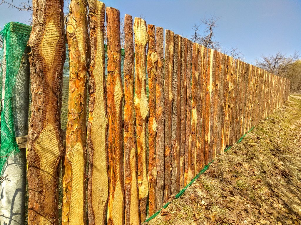 clôture de dalle pas cher