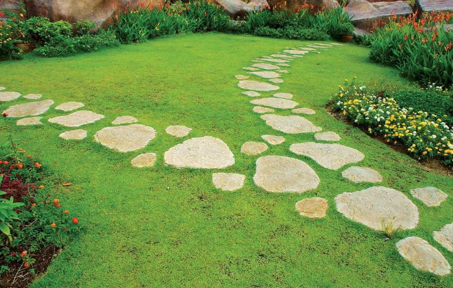 שביל אבן טבעית על מדשאה ירוקה