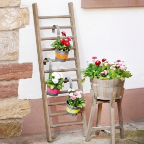 Pots de fleurs sur une échelle