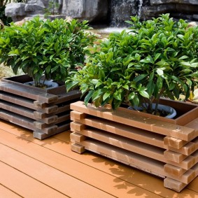 Flowerbeds for plants from thin boards