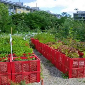 Garden beds from plastic boxes