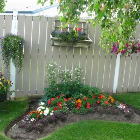 Neat flowerbed with annual flowers
