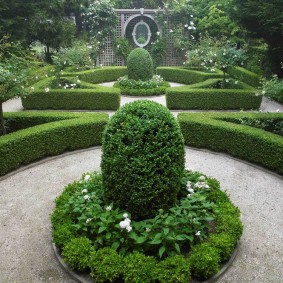 שיחים גזורים בגן בסגנון אנגלי