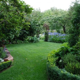 Pelouse lisse dans un jardin de style paysage