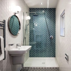 Interior bathroom with tiled hog