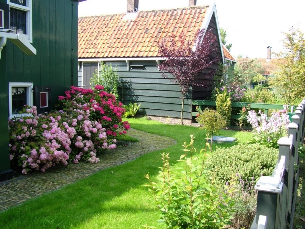 שיחי ורדים לאורך בית בחלקת גן בסגנון הולנדי