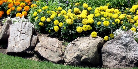 parterre de fleurs en pierre