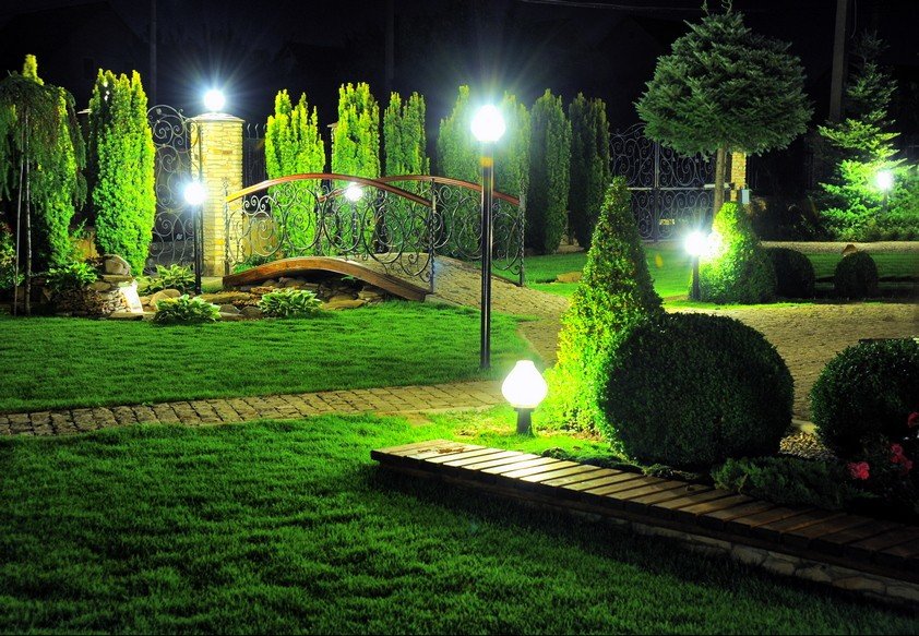أضواء LED في الحديقة مع الصنوبريات
