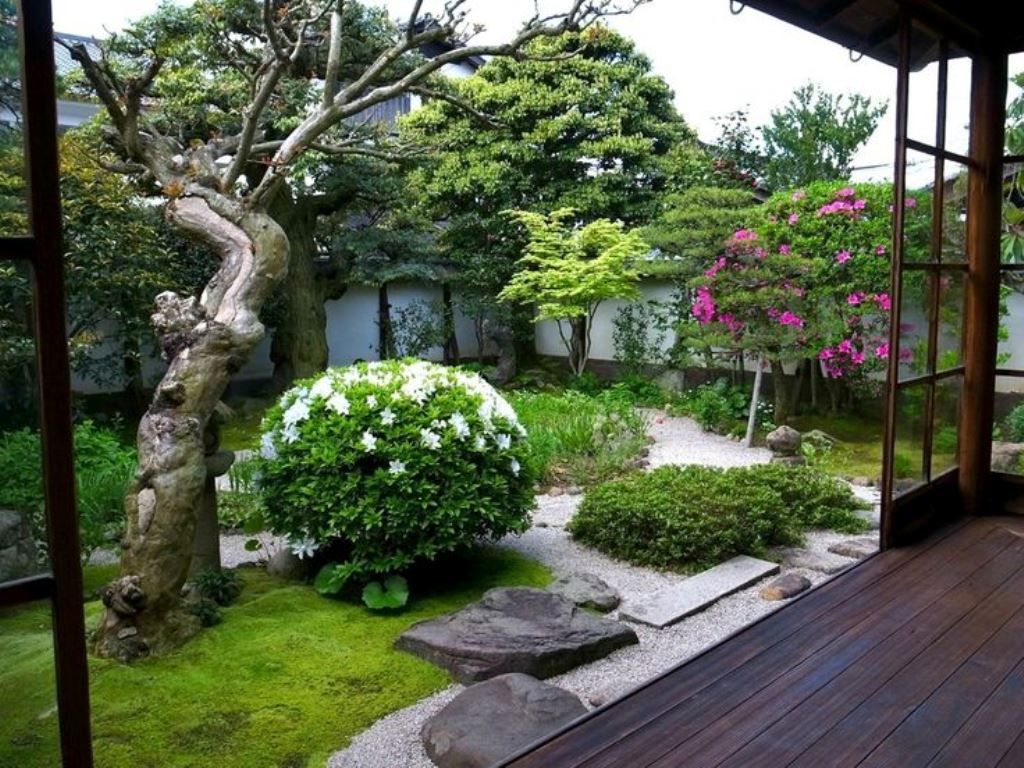 חלקת גן 6 דונם רעיונות בסגנון יפני