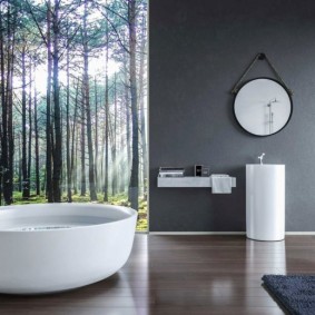 modernas vannas istabas foto iespējas