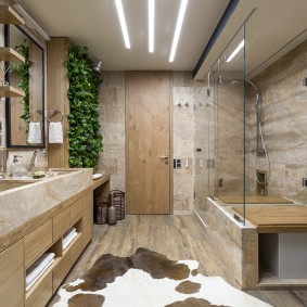 חדר אמבטיה בסגנון אקולוגי 2019