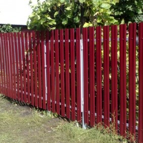 euro-çit çit iç fotoğraf