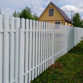 euro-çit çit fikirler seçenekleri