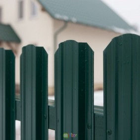 euro-çit çit tasarım türleri