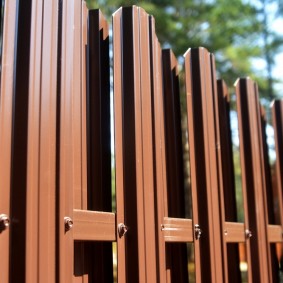 Euro-çit çit tasarım fotoğraf