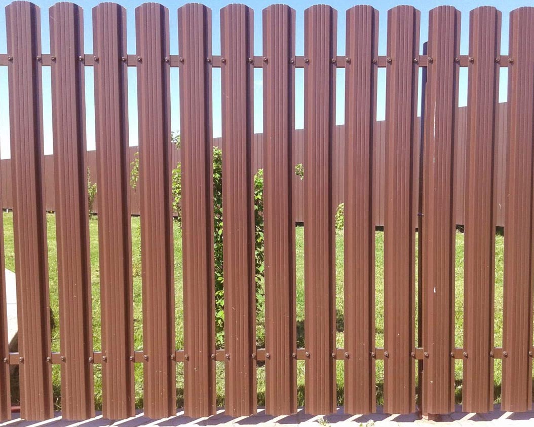 euro-çit çit fikirler