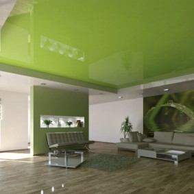 salonda yeşil asma tavan