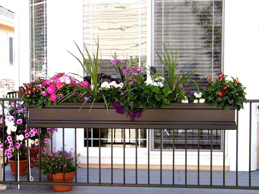 Balkon korkuluk üzerine çiçek sepeti yaşayan bitkiler