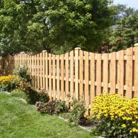 bahçe fotoğraf dekoru için dekoratif çit