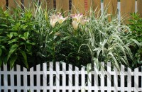 bahçe dekoratif çit dekorasyon fikirleri