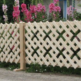 options de photo de clôture de jardin décorative
