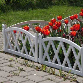 clôture décorative pour les espèces de photo de jardin