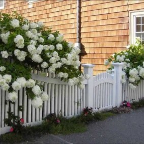 bahçe için dekoratif çit