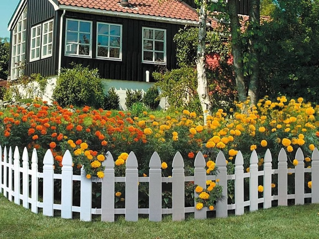 dekoratif çit fotoğraf