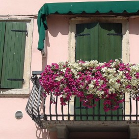 מרפסת יפה עם פרחים על המעקה