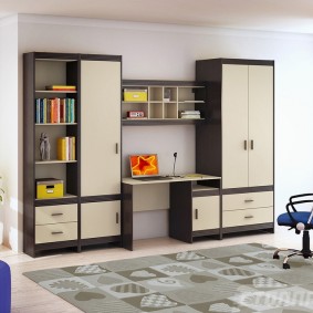 Direct children's wall with wardrobe and open shelves
