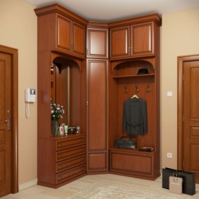 Küçük bir koridor için kahverengi mobilya