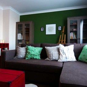Oturma odası aksanı olarak yeşil duvar