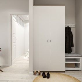 гардероба са љуљајућим вратима према идејама за дизајн ходника