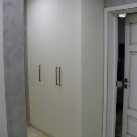 armoire avec portes battantes aux idées intérieures du hall d'entrée