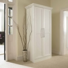 гардероба са шаркалним вратима у дизајн дизајна за ходник
